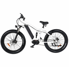 Brushless Motor Ebike with Suspension professional Mountain Bike